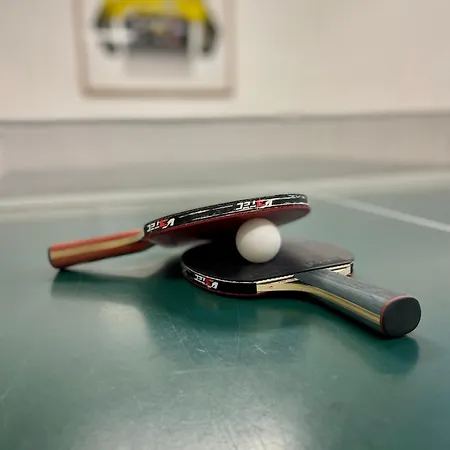 Villa Zornicka Zdiar